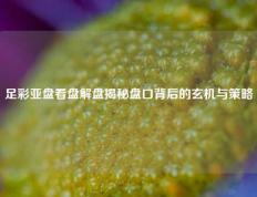 足彩亚盘看盘解盘揭秘盘口背后的玄机与策略