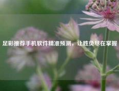 足彩推荐手机软件精准预测，让胜负尽在掌握