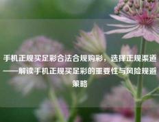 手机正规买足彩合法合规购彩，选择正规渠道——解读手机正规买足彩的重要性与风险规避策略