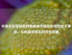 中国足彩馆踩踏网盘揭秘中国足彩馆的惊天事故，从网盘到现实的可怕后果