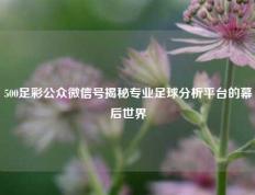 500足彩公众微信号揭秘专业足球分析平台的幕后世界
