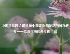 中国足彩网论坛揭秘中国足彩网论坛的神秘世界——交流与策略分享的平台
