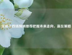 足彩十四场预测推荐把握未来走向，赢在策略