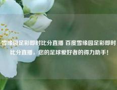 雪缘园足彩即时比分直播 百度雪缘园足彩即时比分直播，您的足球爱好者的得力助手！