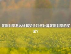 足彩彩票怎么计算奖金如何计算足彩彩票的奖金？