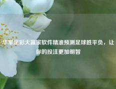 华军足彩大赢家软件精准预测足球胜平负，让你的投注更加明智