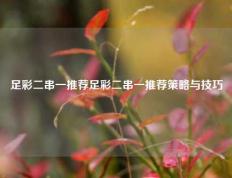 足彩二串一推荐足彩二串一推荐策略与技巧