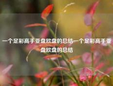 一个足彩高手亚盘欧盘的总结一个足彩高手亚盘欧盘的总结