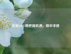 足彩16137期把握机遇，稳中求胜