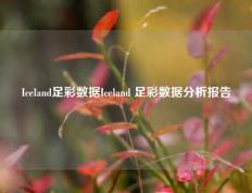 Iceland足彩数据Iceland 足彩数据分析报告