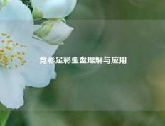 竞彩足彩亚盘理解与应用