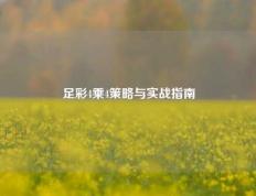 足彩4乘4策略与实战指南