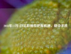 2018年11月3日足彩推荐把握机遇，稳中求胜