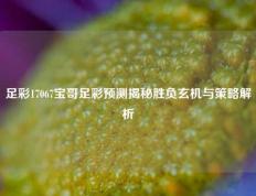 足彩17067宝哥足彩预测揭秘胜负玄机与策略解析
