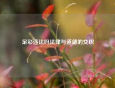 足彩违法吗法律与道德的交织