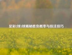 足彩2球3球揭秘胜负概率与投注技巧