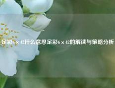 足彩6×42什么意思足彩6×42的解读与策略分析