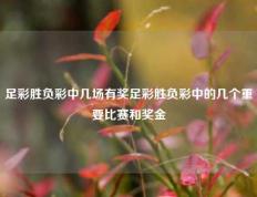 足彩胜负彩中几场有奖足彩胜负彩中的几个重要比赛和奖金