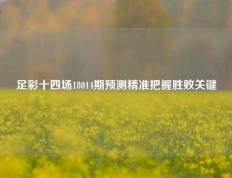 足彩十四场18014期预测精准把握胜败关键