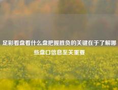 足彩看盘看什么盘把握胜负的关键在于了解哪些盘口信息至关重要