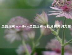 圣哲足彩 m.weibo.cn圣哲足彩与社交媒体的力量