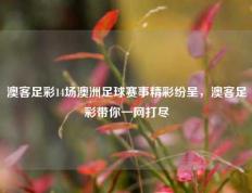 澳客足彩14场澳洲足球赛事精彩纷呈，澳客足彩带你一网打尽