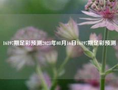 16197期足彩预测2023年08月16日16197期足彩预测