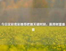 今日足彩竞彩推荐把握关键时刻，赢得财富盛宴