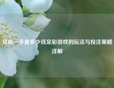足彩一手是多少钱足彩游戏的玩法与投注策略详解
