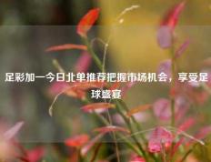 足彩加一今日北单推荐把握市场机会，享受足球盛宴