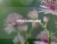 往期足彩回顾与展望