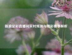 新浪足彩直播间实时预测与精彩赛事解析