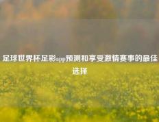 足球世界杯足彩app预测和享受激情赛事的最佳选择