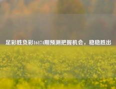 足彩胜负彩16174期预测把握机会，稳稳胜出
