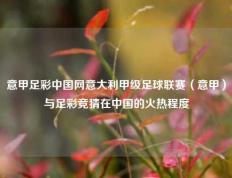 意甲足彩中国网意大利甲级足球联赛（意甲）与足彩竞猜在中国的火热程度