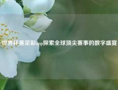 世界杯赛足彩app探索全球顶尖赛事的数字盛宴