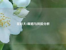 足彩大3策略与风险分析
