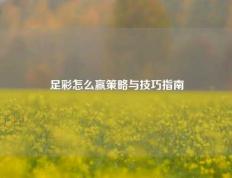 足彩怎么赢策略与技巧指南
