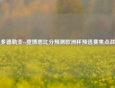 多德勒支vs登博思比分预测欧洲杯预选赛焦点战
