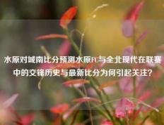 水原对城南比分预测水原FC与全北现代在联赛中的交锋历史与最新比分为何引起关注？