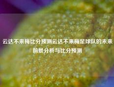 云达不来梅比分预测云达不来梅足球队的未来前景分析与比分预测