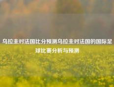 乌拉圭对法国比分预测乌拉圭对法国的国际足球比赛分析与预测