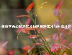 新赛季英超预测比分各队预测比分与策略分析