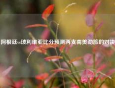 阿根廷vs玻利维亚比分预测两支南美劲旅的对决