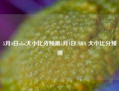 5月4日nba大小比分预测5月4日 NBA 大小比分预测