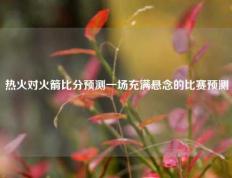 热火对火箭比分预测一场充满悬念的比赛预测
