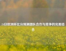 24日欧洲杯比分预测团队合作与竞争的完美结合