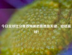 今日足球比分推荐预测把握胜负关键，稳稳赢球！