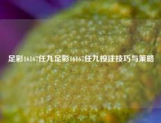 足彩16167任九足彩16167任九投注技巧与策略