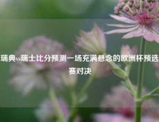 瑞典vs瑞士比分预测一场充满悬念的欧洲杯预选赛对决
